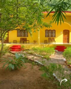 WhatsApp Image 2025-12-10 at 10.37.22 AM